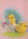 EASTER CHICKEN EGG Vintage Postcard CPSM #PBO741.GB - Pâques