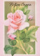 FLOWERS Vintage Postcard CPSM #PAS286.GB - Bloemen