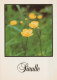 FLOWERS Vintage Postcard CPSM #PAR385.GB - Blumen