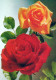 FLOWERS Vintage Postcard CPSM #PAS166.GB - Blumen