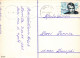 FLORES Vintage Tarjeta Postal CPSM #PBZ818.ES - Flowers