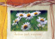 FLORES Vintage Tarjeta Postal CPSM #PBZ394.ES - Flowers
