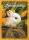 PASCUA CONEJO Vintage Tarjeta Postal CPSM #PBO492.ES - Pasqua