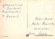 FLORES Vintage Tarjeta Postal CPSM #PAS107.ES - Flowers