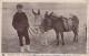 DONKEY Animals Children Vintage Antique Old CPA Postcard #PAA333.GB - Esel