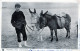 DONKEY Animals Children Vintage Antique Old CPA Postcard #PAA333.GB - Donkeys