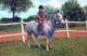CHEVAL Animaux Vintage Carte Postale CPA #PKE880.FR - Horses