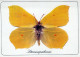 PAPILLONS Animaux Vintage Carte Postale CPSM #PBS423.FR - Papillons