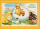 PÂQUES POULET ŒUF Vintage Carte Postale CPSM #PBO933.FR - Pasqua