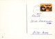 ENFANTS Scène Paysage Vintage Carte Postale CPSM #PBB402.FR - Scènes & Paysages