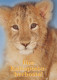 LION Tier Vintage Ansichtskarte Postkarte CPSM #PBS046.DE - Lions