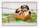 HUND Tier Vintage Ansichtskarte Postkarte CPSM #PBQ595.DE - Hunde