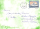 FLOWERS Vintage Ansichtskarte Postkarte CPSM #PAR568.DE - Flores