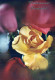 FLOWERS Vintage Ansichtskarte Postkarte CPSM #PAS349.DE - Flores