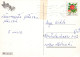 KATZE MIEZEKATZE Tier Vintage Ansichtskarte Postkarte CPSM #PAM563.DE - Chats