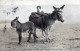 ÂNE Animaux Enfants Vintage Antique CPA Carte Postale #PAA336.FR - Donkeys