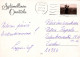 FIORI Vintage Cartolina CPSM #PBZ457.IT - Blumen