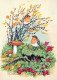 UCCELLO Animale Vintage Cartolina CPSM #PBR698.IT - Vögel