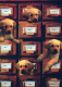 CANE Animale Vintage Cartolina CPSM #PBQ526.IT - Dogs