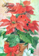 FIORI Vintage Cartolina CPSM #PAR809.IT - Flowers