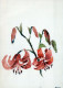 FIORI Vintage Cartolina CPSM #PAR629.IT - Flowers