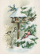UCCELLO Animale Vintage Cartolina CPSM #PAM758.IT - Vögel