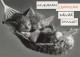GATTO KITTY Animale Vintage Cartolina CPSM Unposted #PAM442.IT - Gatos