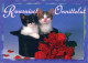 GATTO KITTY Animale Vintage Cartolina CPSM #PAM565.IT - Chats