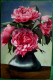 CPA  PHOTOCHROMIE . FLEURS DE PIVOINE . PIVOINES . 1911 . BOUQUET OF  PEONY FLOWERS OLD PC - Blumen