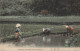 JAPON REMOVING RICE SHOOTS FOR TRANSPLANTING CPA BON ETAT - Autres & Non Classés