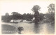 England - WARGRAVE - The Thames - REAL PHOTO - Other & Unclassified