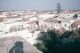 Delcampe - 10 SLIDES SET 1980s TAVIRA  ALGARVE PORTUGAL 16mm DIAPOSITIVE SLIDE Not PHOTO FOTO NB4039 - Diapositive