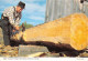 Canada MORRISBURUG SQUARIING TIMBER 28(scan Recto-verso) MA1934 - Andere & Zonder Classificatie