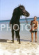 3 SLIDES SET HORSE BEACH CHEVAL 1980s MYCONOS GREECE ORIGINAL AMATEUR 35mm DIAPOSITIVE SLIDE Not PHOTO FOTO NB4042 - Dias