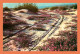 A679 / 513 SAND VERBENAS Blooming On The Desert - Other & Unclassified