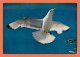 A714 / 091 Oiseau Mouette Tridactyle - Birds