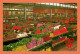 A714 / 077 AALSMEER World Flower Centre - Aalsmeer