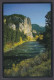 115079/ The Gallatin River - Other & Unclassified