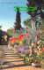 R407213 Flora Della Riviera Ligure. Brunner. 702 13 - Monde