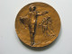 Médaille WATTEAU 1684-1721  **** EN ACHAT IMMEDIAT **** - Monarquía / Nobleza