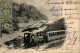 Rochers De Naye - Eisenbahn - Autres & Non Classés