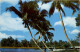Florida - Whispering Palms - Sonstige & Ohne Zuordnung