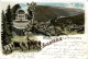 Gruss Von Der Fasanerie Bei Schwarzburg - Litho - Saalfeld