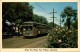 Louisiana - New Orleans - Street Car Scene - New Orleans