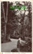 R408670 Inverness. Walk At Ness Islands. Tuck. Glosso. Series. 5541. 1910 - World