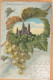 Speyer 1900 Germany Postcard - Speyer