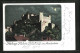 Lithographie Salzburg, Festung Hohen Salzburg Im Mondschein  - Other & Unclassified
