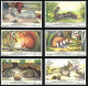 6 Sammelbilder Liebig, Serie Nr. 1655: De Knaagdieren, Feldhamster, Ratte, Eichhörnchen, Hase  - Liebig