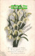 R408963 Hearty Good Wishes. Flowers. P. E. A. P. Series. B. 72 - Mondo