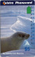 19-4-2024 - Phonecard - Australia  - (duplicate Phonecard) Seals - Australien